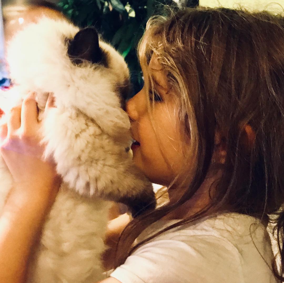 /images/Galeria/Cicák-gyerekek (Cats&Chirldren)/26220377_536907633343602_4078199380638245288_o.jpg